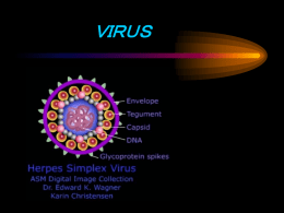 ウイルス対策総論