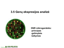 3.5 Genų ekspresijos analizė