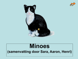 Minoes (samenvatting door Sara, Aaron, Henri)