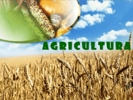 Agricultura - GeoGraphiaLudus