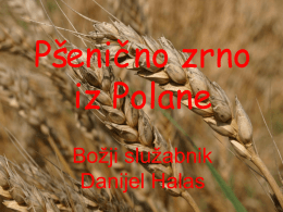 Pšenično zrno iz Polane