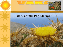 VARA de Vladimir Pop Mărcanu Citiţi şi memoraţi poezia