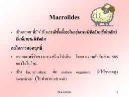 Macrolides and Lincosamides