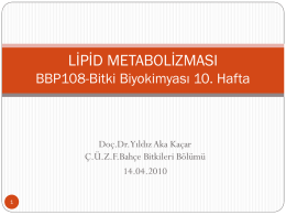 Lipidler I - BahceBitkileri.org