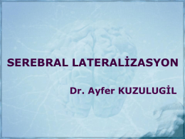 serebral lateralizasyon - Ankara Akupunktur Derneği