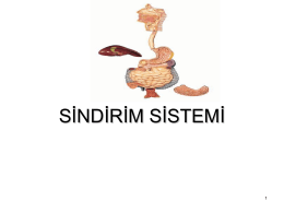 pps