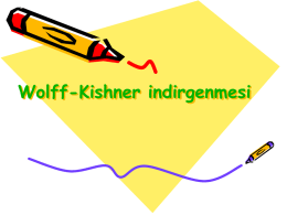 Wolff-Kishner indirgenmesi