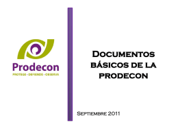 Documentos básicos de la prodecon