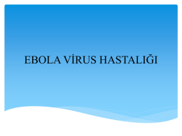 ebola v*rus hastalı*ı
