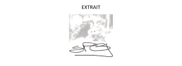 EXTRAIT v3.1