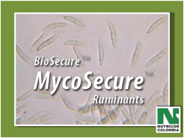 MYCOSECURE - Nutricor Colombia