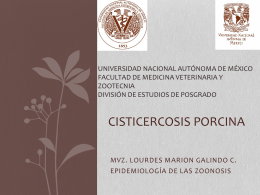 Cisticercosis porcina - Zoonosis
