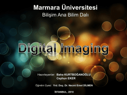 Digital Imaging - Baha Kurtboğanoğlu
