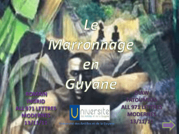 La littérature et le marronnage en Guyane