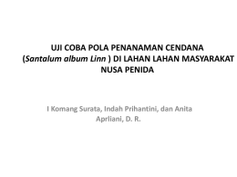 (Santalum album L.) di Nusa Penida