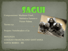 Clique e confira Sagui - Colégio Franciscano Sant`Anna