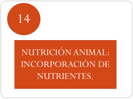 La nutrición animal. Incorporación de nutrientes.