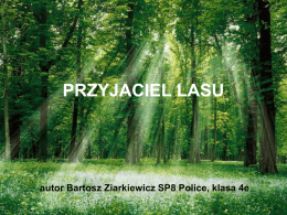 PRZYJACIEL LASU autor Bartosz Ziarkiewicz SP8 Police, klasa 4e