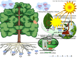 fotosyntéza pre základné školy
