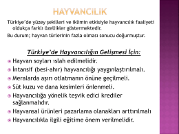 Hayvancılık Ormancılık Slaytı indirmek i&ccedil;in tıklayınız