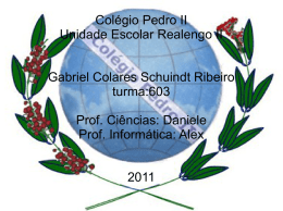 Gabriel Colares Schuindt Ribeiro