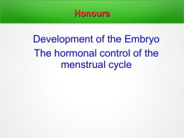 Human Embryo Development