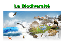 La Biodiversité Définition : Biodiversité : Diversité du monde naturel