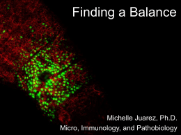 Finding a Balance

Michelle Juarez, Ph.D.
Micro, Immunology, and Pathobiology Wound Healing and Regeneration
• Wound Response

• Inflammation
• Tissue formation
• Tissue remodeling