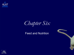 Chapter Six Feed and Nutrition ALAT Presentations Study Tips  If viewing this in PowerPoint, use the  icon to run  the show (bottom left.