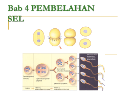 Bab 4 PEMBELAHAN SEL Bab 4 Pembelahan Sel  Amitosis (Pembelahan biner)  PEMBELAHAN SEL  Mitosis (tidak terjadi reduksi jumlah kromosom) Meiosis (terjadi reduksi jumlah kromosom)
