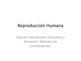 Reproducción Humana Aparato reproductor masculino y femenino. Métodos de contracepción. Copyright © The McGraw-Hill Companies, Inc.
