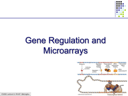 Gene Regulation and Microarrays  CS262 Lecture 9, Win07, Batzoglou Finding Regulatory Motifs  CS262 Lecture 9, Win07, Batzoglou.