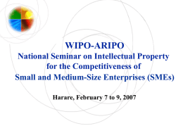 WIPO-ARIPO National Seminar on Intellectual Property for the Competitiveness of Small and Medium-Size Enterprises (SMEs) Harare, February 7 to 9, 2007