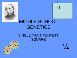 T t  T  Tt  t  MIDDLE SCHOOL GENETICS SINGLE TRAIT PUNNETT SQUARE  ¼ STUDENT EXPECTATION STUDENTS WILL MAKE PREDICTIONS ABOUT POSSIBLE OUTCOMES OF T VARIOUS GENETIC COMBINATIONS OF INHERITED CHARACTERISTICS T  T  TT  t  Tt.