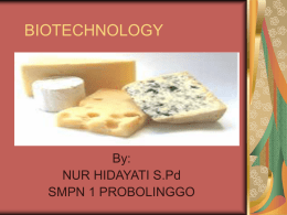 BIOTECHNOLOGY  By: NUR HIDAYATI S.Pd SMPN 1 PROBOLINGGO Pengertian Bioteknologi : Pemanfaatan dan/atau perekayasaan proses biologi dari suatu agen biologi untuk menghasilkan produk dan jasa yang.