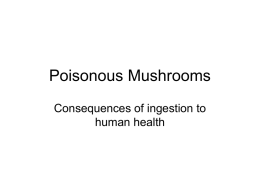 Poisonous Mushrooms Consequences of ingestion to human health Why collect wild mushrooms? • Foray - a brief excursion into the field in search.