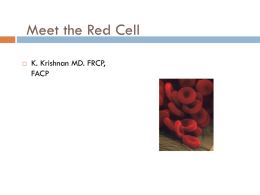 Meet the Red Cell   K. Krishnan MD. FRCP, FACP The red cell •  •  •  •  •  Durability of red cell is remarkable No nucleus to direct regenerative processes No mitochondria available for efficient oxidative metabolism No ribosomes for regeneration of lost or damaged.