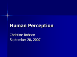 Human Perception Christine Robson September 20, 2007 First Computer “bug” Self Checkout love it or hate it?