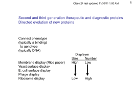 Class 24 last updated 11/30/11 1:00 AM  Second and third generation therapeutic and diagnostic proteins Directed evolution of new proteins  Connect phenotype (typically a.