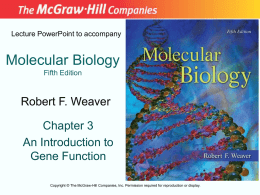 Lecture PowerPoint to accompany  Molecular Biology Fifth Edition  Robert F. Weaver Chapter 3 An Introduction to Gene Function Copyright © The McGraw-Hill Companies, Inc.