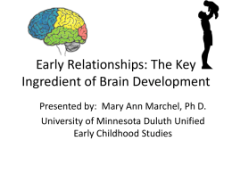 Early Relationships: The Key Ingredient of Brain Development Presented by: Mary Ann Marchel, Ph D. University of Minnesota Duluth Unified Early Childhood Studies.