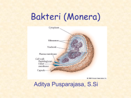 Bakteri (Monera)  Aditya Pusparajasa, S.Si Bakteri??? • istilah bakteri berasal dari bahasa Yunani dari kata bakterion yang berarti tongkat atau batang, bersel satu dan.