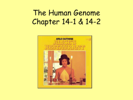 The Human Genome Chapter 14-1 & 14-2 THINK ABOUT IT  What does a can of Diet Coke and this song have to do with human.