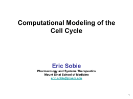 Computational Modeling of the Cell Cycle  Eric Sobie Pharmacology and Systems Therapeutics Mount Sinai School of Medicine eric.sobie@mssm.edu.