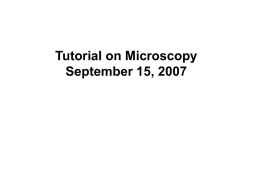 Tutorial on Microscopy September 15, 2007 Why the need to study microscopy? • It is a tool complementary to molecular biology • It.