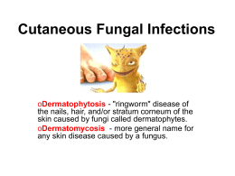 Cutaneous Fungal Infections  oDermatophytosis - "ringworm" disease of the nails, hair, and/or stratum corneum of the skin caused by fungi called dermatophytes. oDermatomycosis -