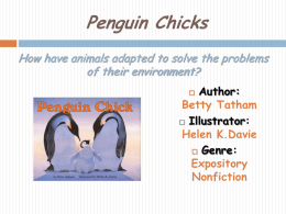 Penguin Chicks How have animals adapted to solve the problems of their environment? Author: Betty Tatham  Illustrator: Helen K.Davie  Genre: Expository Nonfiction 