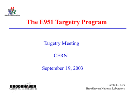 The E951 Targetry Program Targetry Meeting CERN September 19, 2003  Harold G. Kirk Brookhaven National Laboratory.