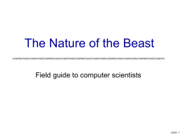 The Nature of the Beast Field guide to computer scientists  slide 1