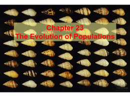 Chapter 23 The Evolution of Populations Population Genetics Combines Darwinian selection and Mendelian inheritance Population genetics - study of genetic variation within a population.  Emphasis.
